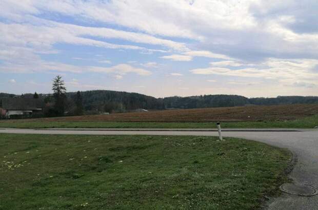 Grundstück kaufen in 8261 Sinabelkirchen (Bild 1)