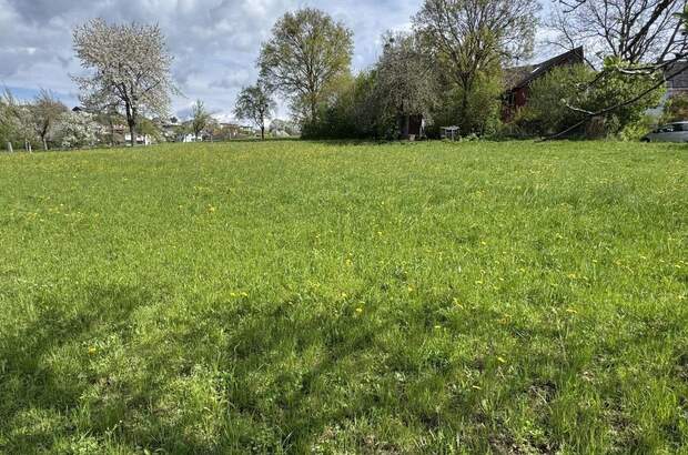 Grundstück kaufen in 4223 Bodendorf (Bild 1)