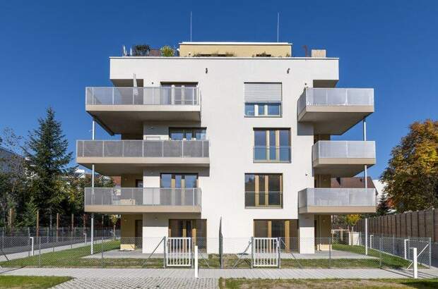 Terrassenwohnung mieten in 2700 Wr. Neustadt (Bild 3)