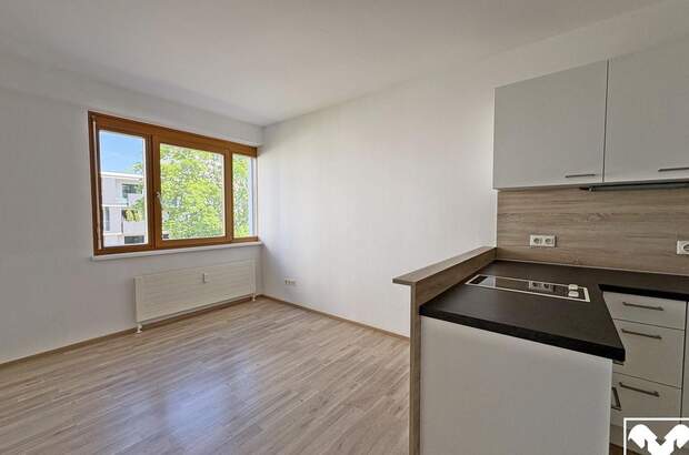 Wohnung mieten in 4600 Wels (Bild 1)