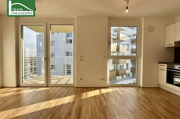 Terrassenwohnung mieten in 1220 Wien (Bild 2)