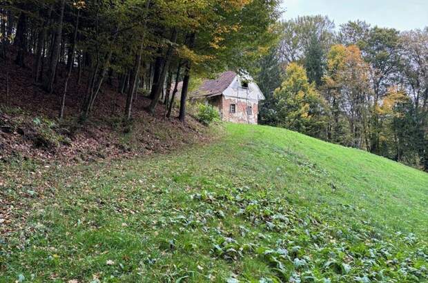 Gewerbeobjekt kaufen in 8461 Ehrenhausen (Bild 3)
