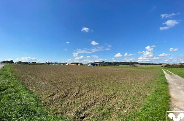 Gewerbeobjekt kaufen in 4671 Neukirchen (Bild 1)