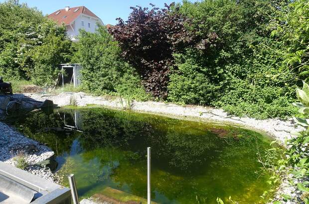 Haus kaufen in 4431 Haidershofen (Bild 5)