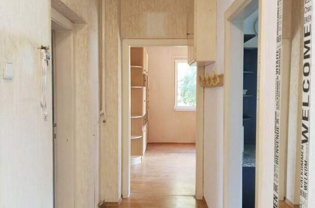 Haus mit Garten kaufen in 4060 Leonding (Bild 4)