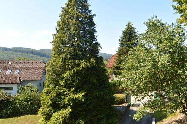 Grundstück kaufen in 3021 Pressbaum (Bild 2)