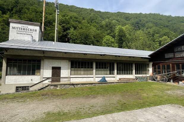 Gewerbeobjekt mieten in 4040 Linz (Bild 4)