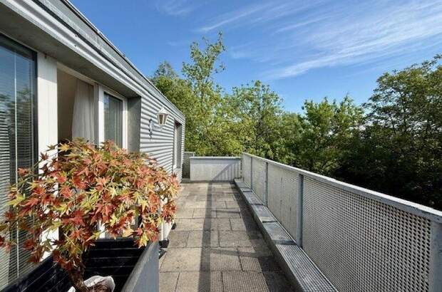Terrassenwohnung mieten in 1220 Wien (Bild 2)