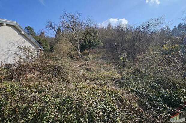 Grundstück kaufen in 3424 Wolfpassing (Bild 3)