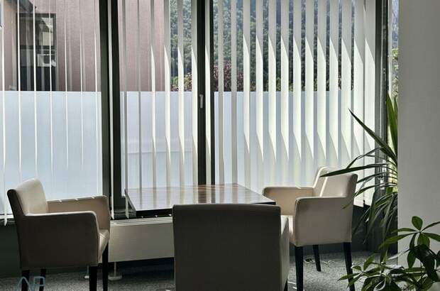 Gewerbeobjekt mieten in 5400 Hallein (Bild 4)