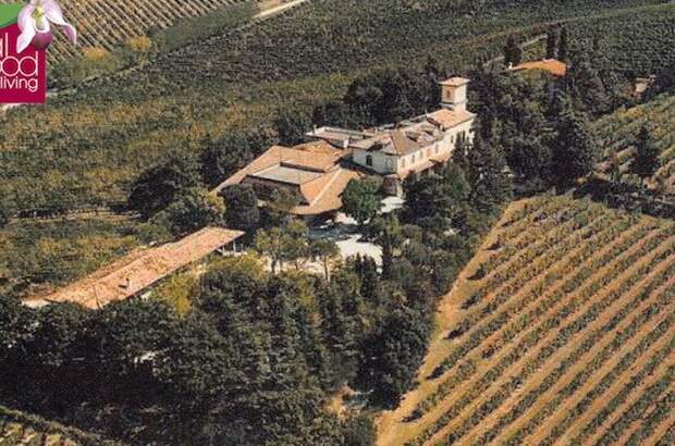 Gewerbeobjekt kaufen in 47032 Bertinoro (Bild 3)