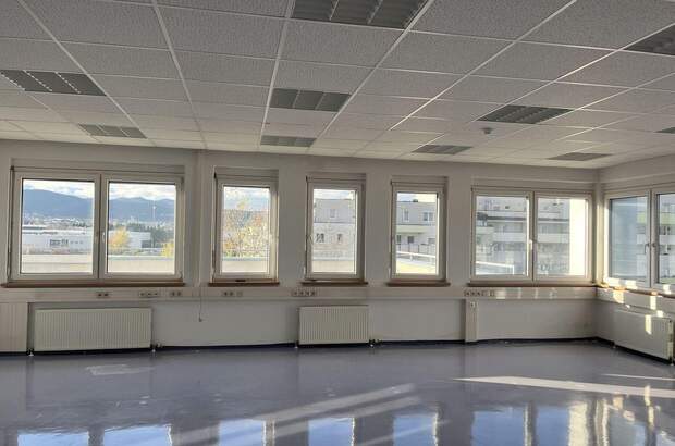 Gewerbeobjekt mieten in 2351 Wiener Neudorf (Bild 5)