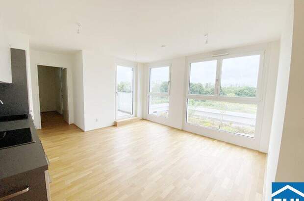 Terrassenwohnung mieten in 1110 Wien (Bild 2)