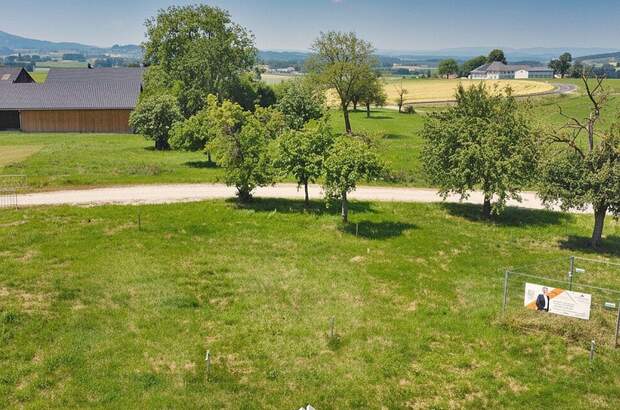 Haus mit Garten kaufen in 4656 Eisengattern (Bild 5)