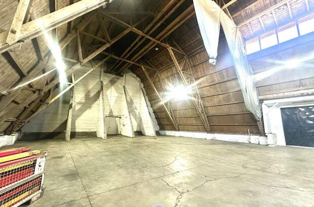 Gewerbeobjekt mieten in 4470 Enns (Bild 5)