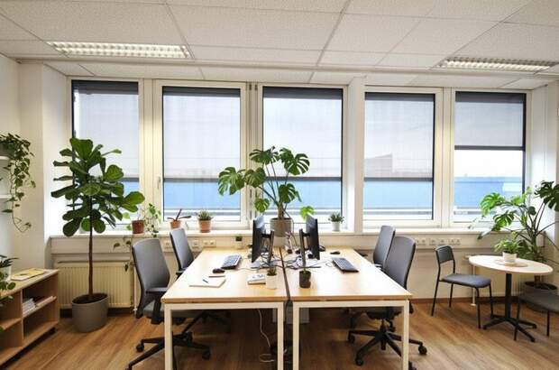 Gewerbeobjekt mieten in 4060 Leonding (Bild 1)