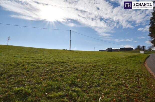 Grundstück kaufen in 8503 St. Josef (Bild 5)