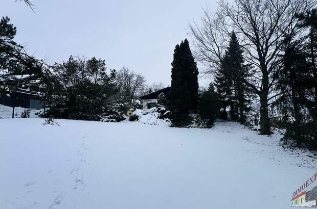 Einfamilienhaus kaufen in 2113 Karnabrunn (Bild 3)