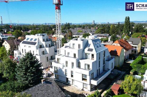 Terrassenwohnung kaufen in 1220 Wien (Bild 1)