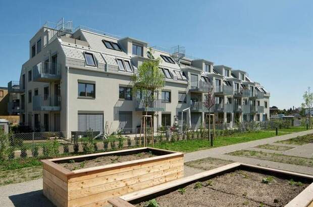 Halle / Lager / Produktion mieten in 1220 Wien