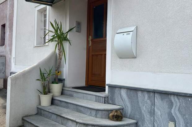 Einfamilienhaus kaufen in 3541 Senftenberg (Bild 2)