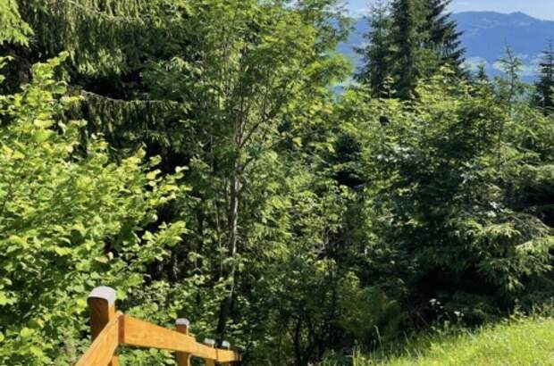 Wohnung mit Balkon mieten in 9542 Treffen (Bild 2)