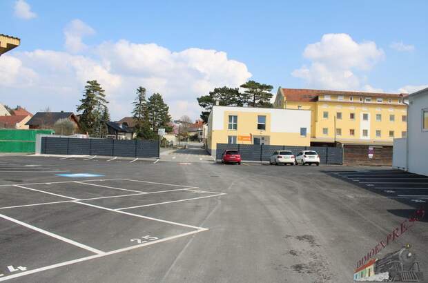 Halle / Lager / Produktion mieten in 2401 Fischamend (Bild 2)