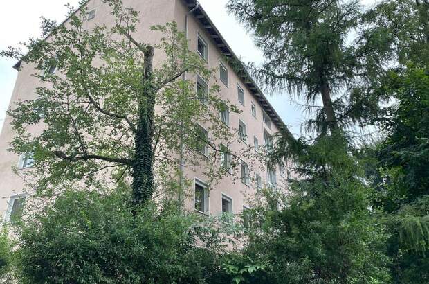 Gewerbeobjekt kaufen in 5020 Salzburg (Bild 2)