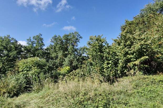 Grundstück kaufen in 4020 Linz (Bild 3)