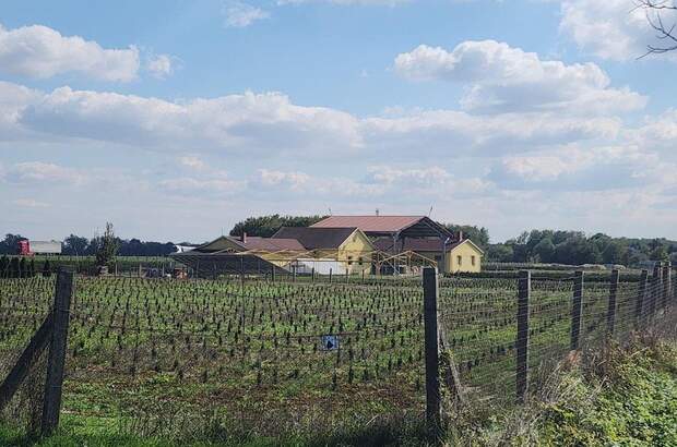 Gewerbeobjekt kaufen in 9771 Balogunyom (Bild 1)