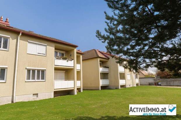 Terrassenwohnung kaufen in 2431 Klein (Bild 1)