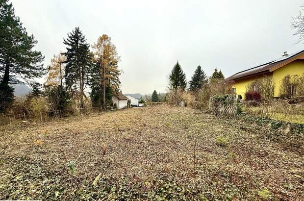 Grundstück kaufen in 2534 Alland (Bild 1)