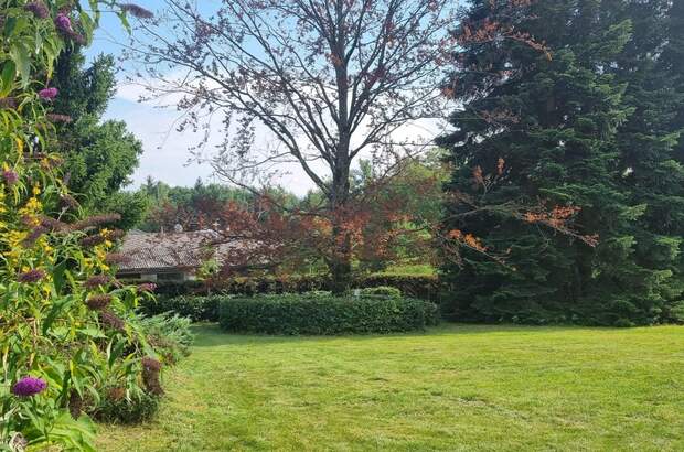 Grundstück kaufen in 4840 Vöcklabruck (Bild 3)