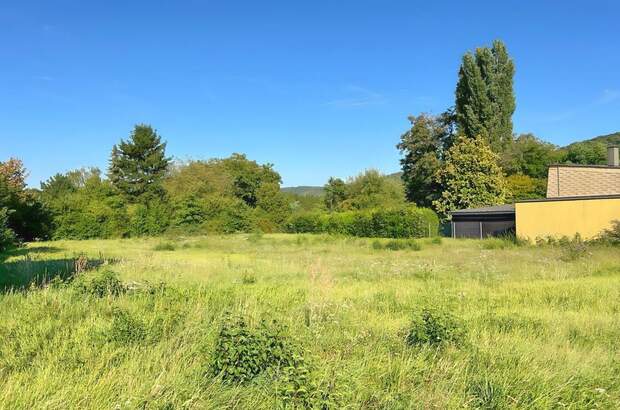 Grundstück kaufen in 3424 Wolfpassing (Bild 4)