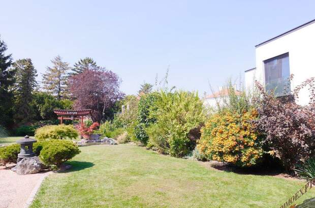 Haus mit Garten kaufen in 2320 Schwechat (Bild 5)