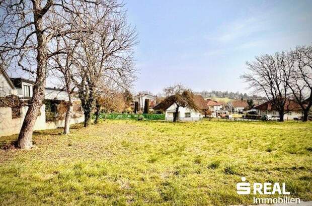 Grundstück kaufen in 4060 Leonding (Bild 3)