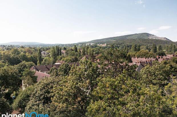 Wohnung mit Balkon kaufen in 1230 Wien (Bild 2)