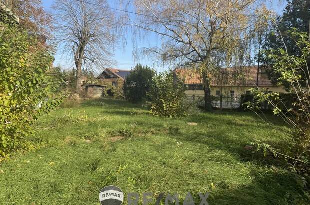 Grundstück kaufen in 3434 Katzelsdorf (Bild 5)