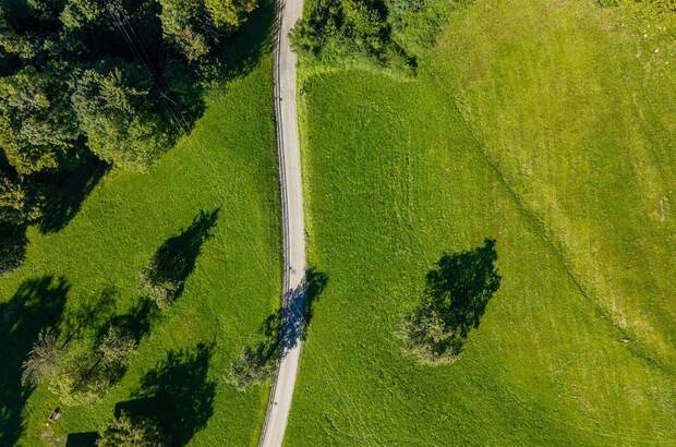Grundstück kaufen in 6835 Zwischenwasser (Bild 2)