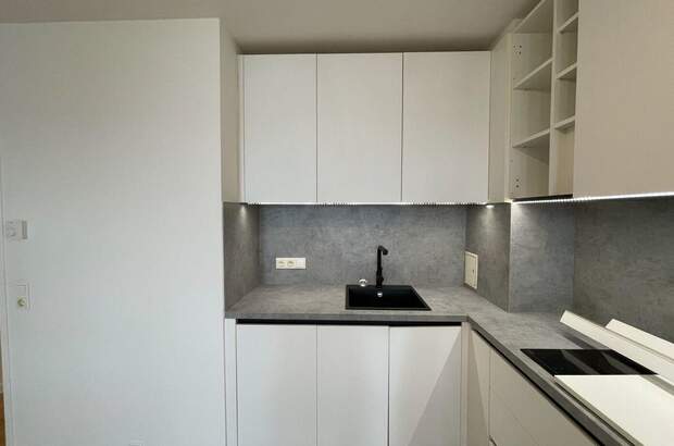 Altbauwohnung mieten in 1190 Wien (Bild 3)