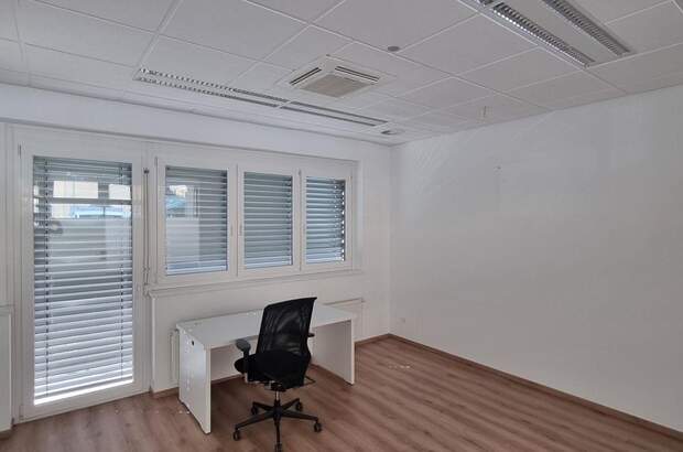 Gewerbeobjekt mieten in 9872 Millstatt (Bild 5)