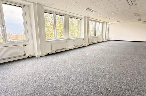 Gewerbeobjekt mieten in 2320 Schwechat (Bild 2)