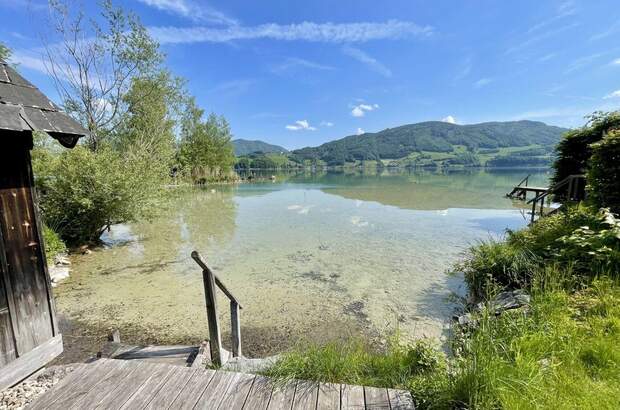 Haus mit Garten kaufen in 5310 St. Lorenz (Bild 3)