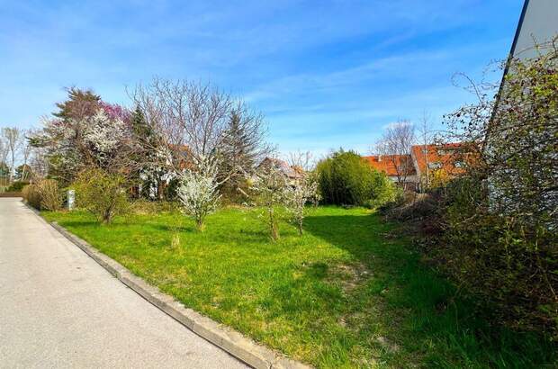 Grundstück kaufen in 2345 Brunn (Bild 1)