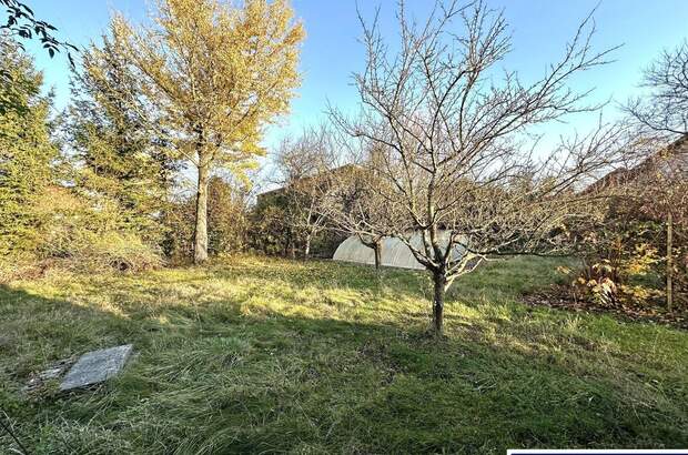 Grundstück kaufen in 4611 Buchkirchen (Bild 1)