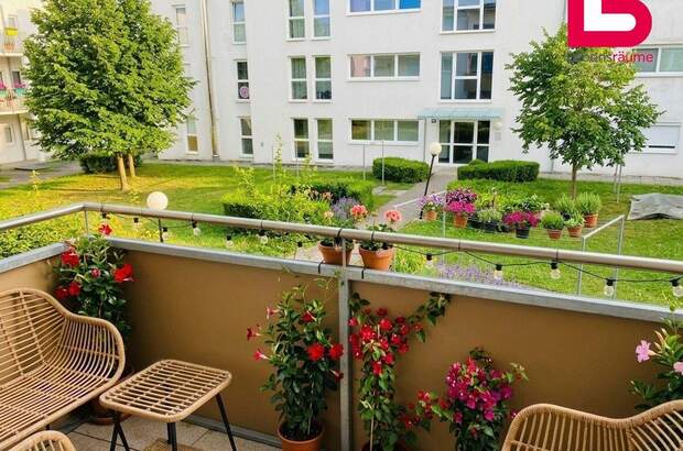 Wohnung mieten in 4210 Gallneukirchen (Bild 1)