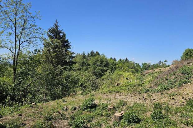 Grundstück kaufen in 8072 Fernitz (Bild 4)