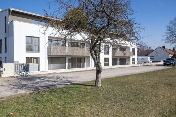 Terrassenwohnung kaufen in 2751 Matzendorf (Bild 5)