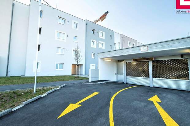 Immobilie mieten in 4053 Haid (Bild 1)