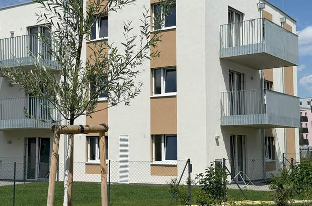 Terrassenwohnung mieten in 2700 Wr. Neustadt (Bild 1)